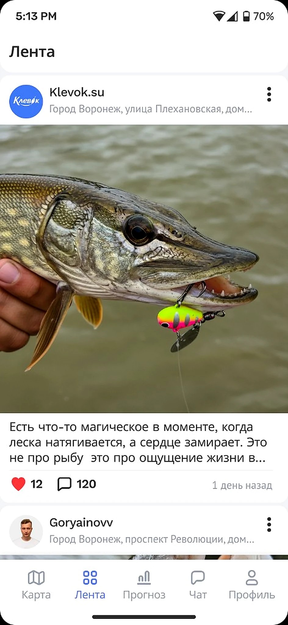 Лента уловов в Клевке